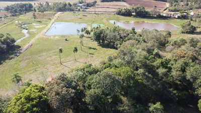 Terreno, 2 hectares - Foto 4