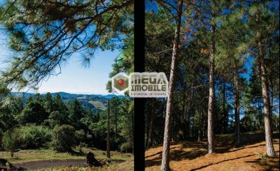 Terreno, 907 m² - Foto 4