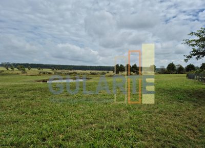 Fazenda, 85 hectares - Foto 2