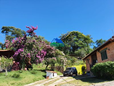 Fazenda, 65 hectares - Foto 1