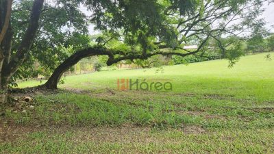 Loteamento e Condomínio, 3070 m² - Foto 4