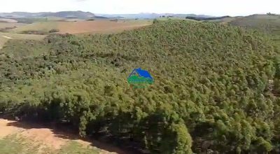 Fazenda, 100 hectares - Foto 2