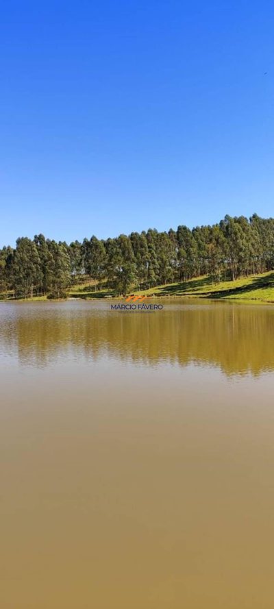 Fazenda, 289 hectares - Foto 2
