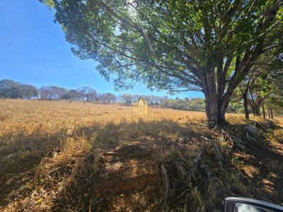 Fazenda, 1 hectares - Foto 2