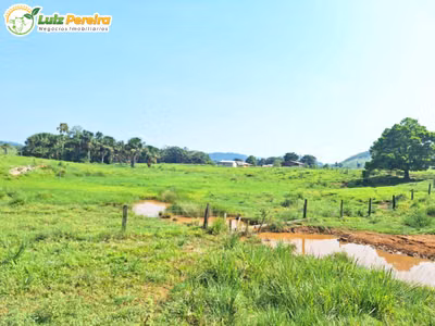 Terreno, 4780 m² - Foto 1