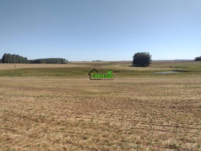 Sítio, 18 hectares - Foto 1
