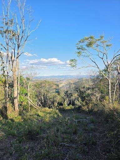 Chácara, 1 quarto, 2 hectares - Foto 3