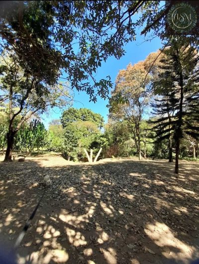Casa, 3 quartos, 270 m² - Foto 1