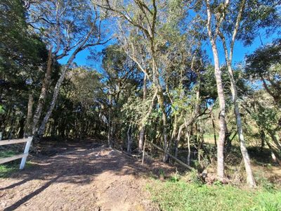 Fazenda, 6000 m² - Foto 2