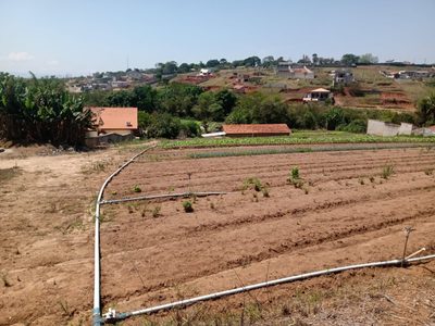 Terreno, 2 hectares - Foto 2