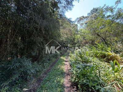Terreno, 2 hectares - Foto 3