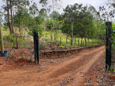 Terreno, 8500 m² - Foto 5