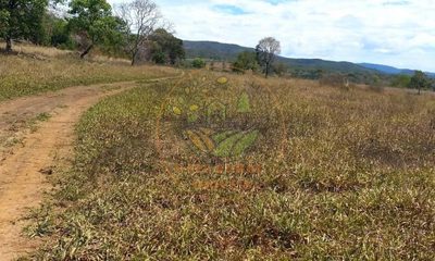 Fazenda, 2139 m² - Foto 2