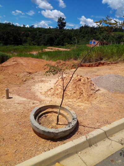 Terreno, 250 m² - Foto 3