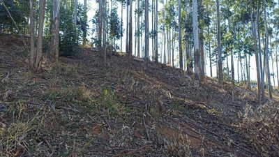 Terreno, 100 m² - Foto 2