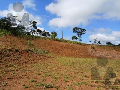 Terreno, 12 hectares - Foto 4