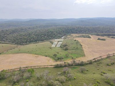 Sítio, 157 hectares - Foto 1