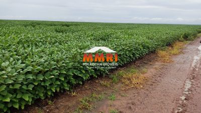 Fazenda, 4 hectares - Foto 1