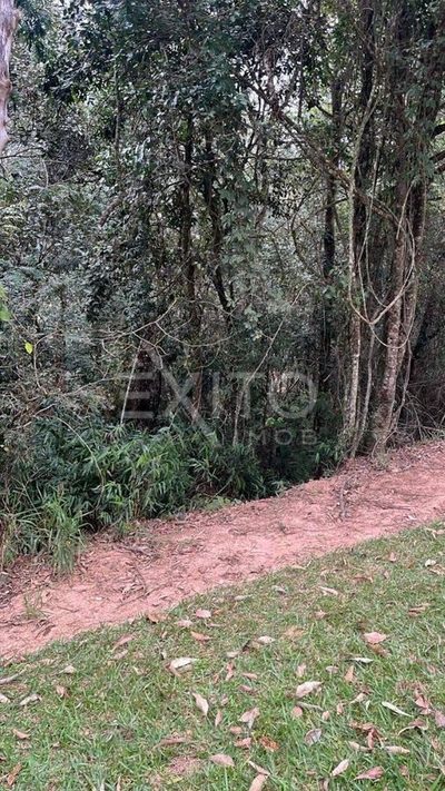 Terreno, 400 m² - Foto 5