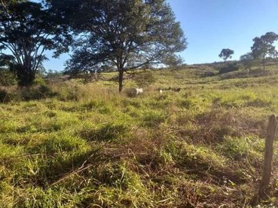 Chácara, 1 quarto - Foto 2