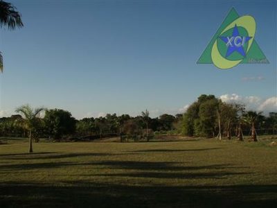 Terreno, 18 hectares - Foto 4