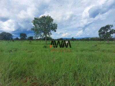 Fazenda, 215 hectares - Foto 1