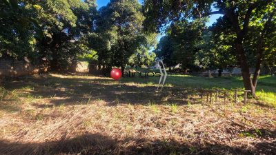 Terreno, 3981 m² - Foto 5