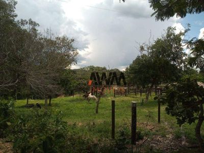 Fazenda, 77 hectares - Foto 4