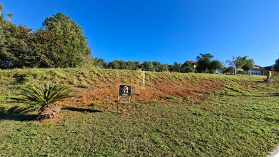 Terreno, 1568 m² - Foto 3