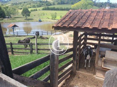 Sítio, 2 quartos, 34 m² - Foto 4