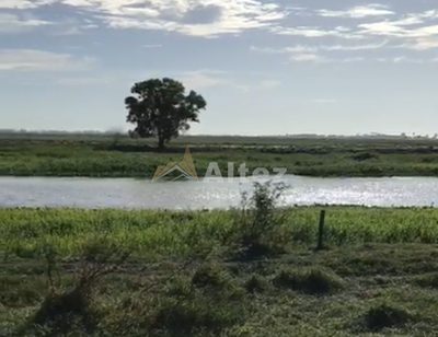 Fazenda, 444 hectares - Foto 2