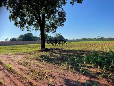 Terreno, 2 hectares - Foto 1