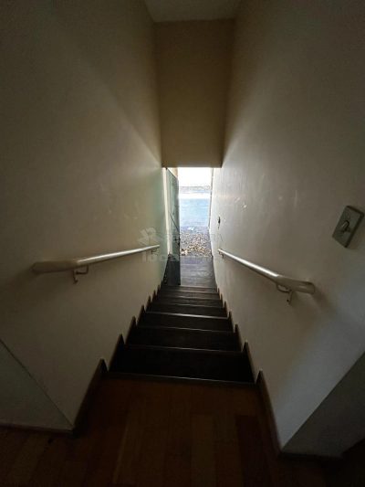 Loja-Salão, 503 m² - Foto 3