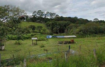 Terreno, 5 hectares - Foto 3