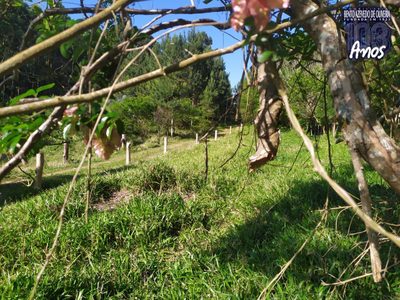 Terreno, 2500 m² - Foto 4