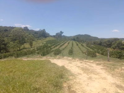 Chácara, 1 quarto - Foto 2