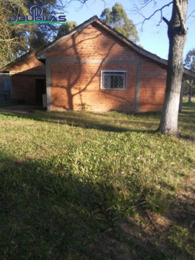 Sítio, 3 quartos - Foto 5