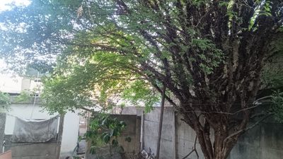 Terreno, 887 m² - Foto 1