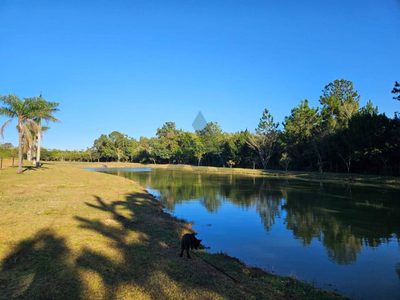 Terreno, 2 hectares - Foto 3