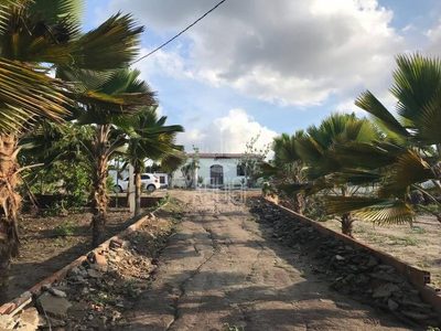 Sítio, 5 quartos, 5282 m² - Foto 1