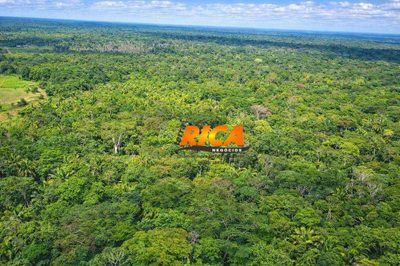 Fazenda, 200 hectares - Foto 2