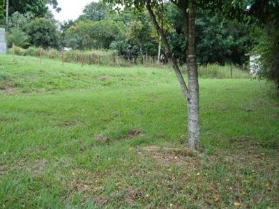 Terreno, 600 m² - Foto 2