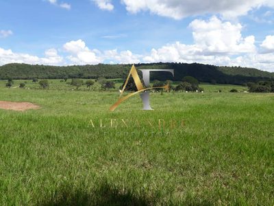 Terreno, 115 hectares - Foto 3