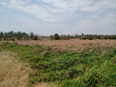 Sítio, 1 quarto, 2 hectares - Foto 2