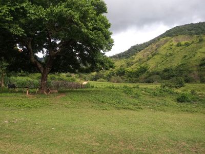 Chácara, 3 quartos - Foto 3