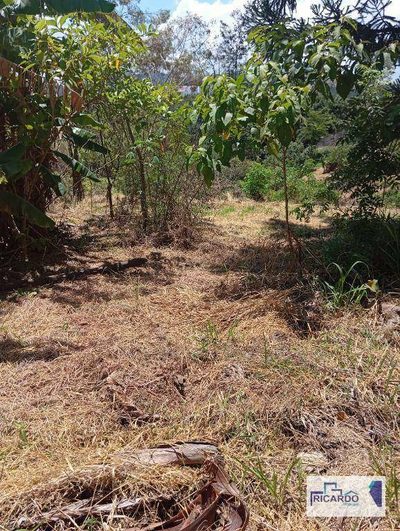 Terreno, 2 hectares - Foto 3
