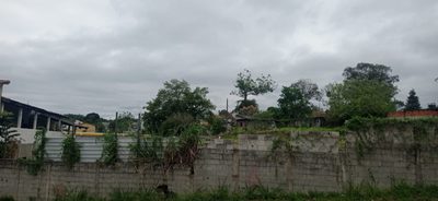 Terreno, 6000 m² - Foto 3