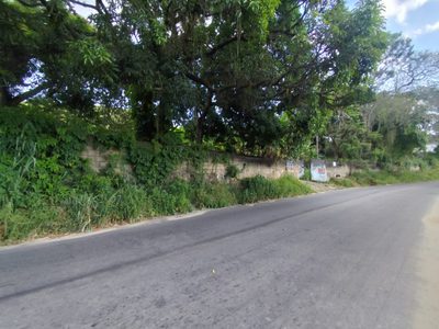 Terreno, 3 hectares - Foto 4