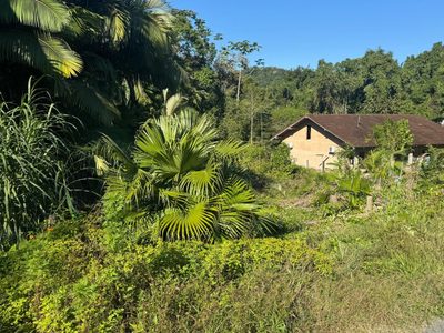 Terreno, 3674 m² - Foto 4