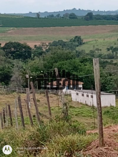 Chácara, 3 quartos - Foto 1
